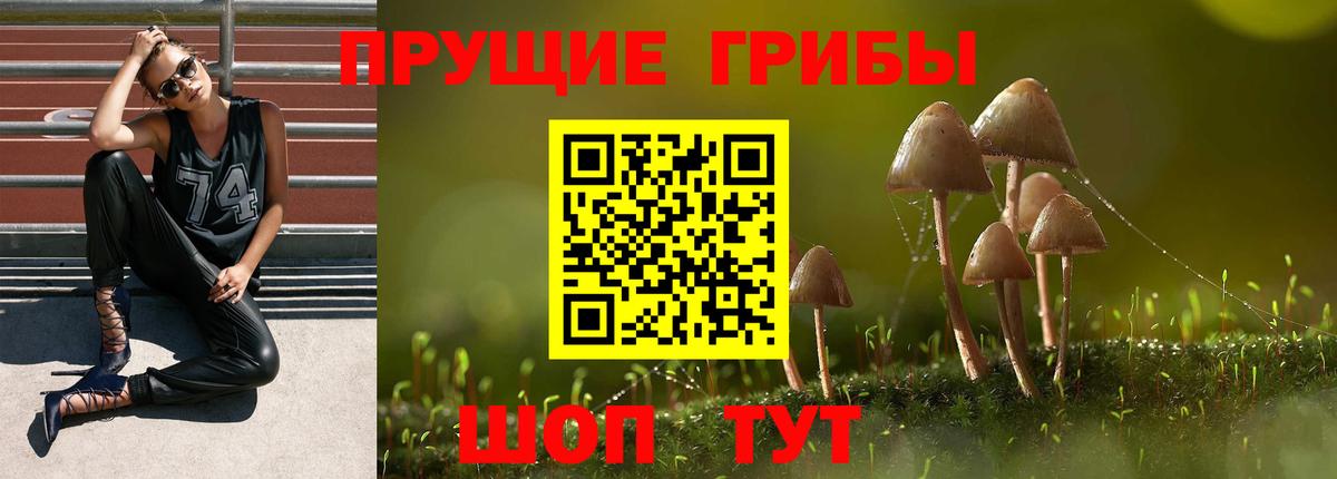 Псилоцибиновые грибы Psilocybine cubensis  Вход с VPN  Псилоцибиновые грибы ЛСД  Артём 